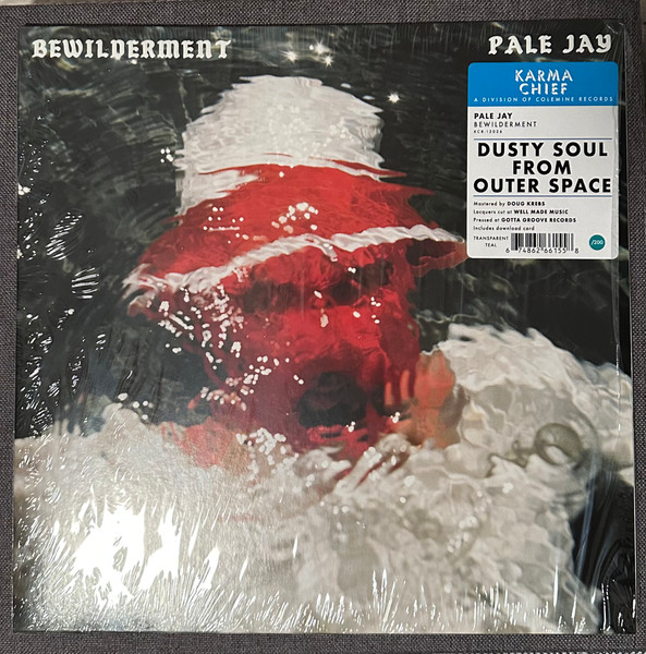 Pale Jay — Bewilderment