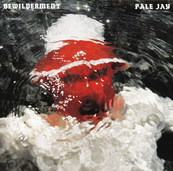 Pale Jay — Bewilderment